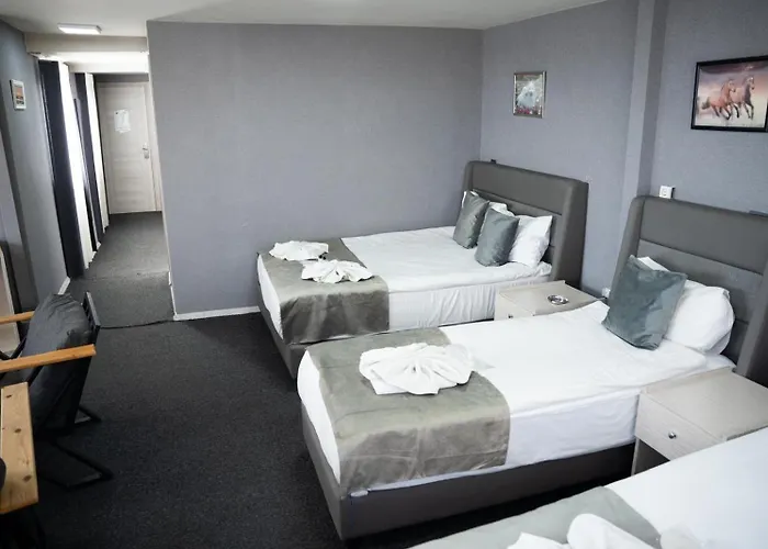 Hotel Grand Ahi Istanbul